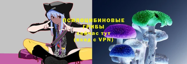 a pvp Аркадак