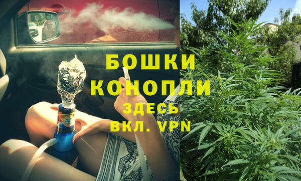 a pvp Аркадак
