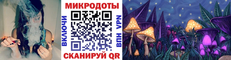 Псилоцибиновые грибы прущие грибы  Светлогорск 